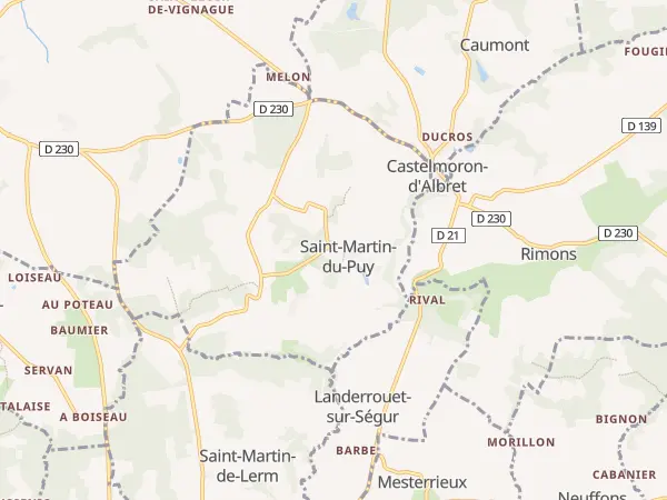 Plan de Saint-Martin-du-Puy