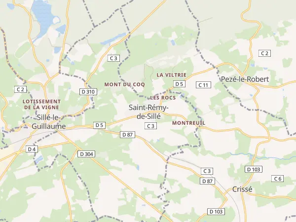 Plan de Saint-Rémy-de-Sillé