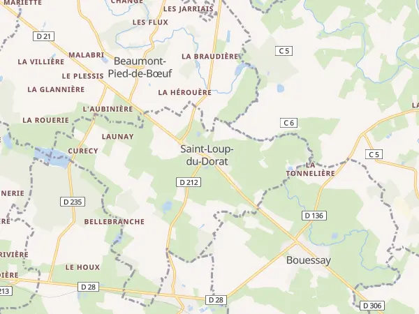 Plan de Saint-Loup-du-Dorat