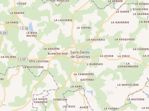 Plan de Saint-Denis-de-Gastines