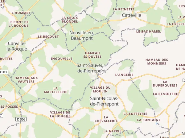 Plan de Saint-Sauveur-de-Pierrepont