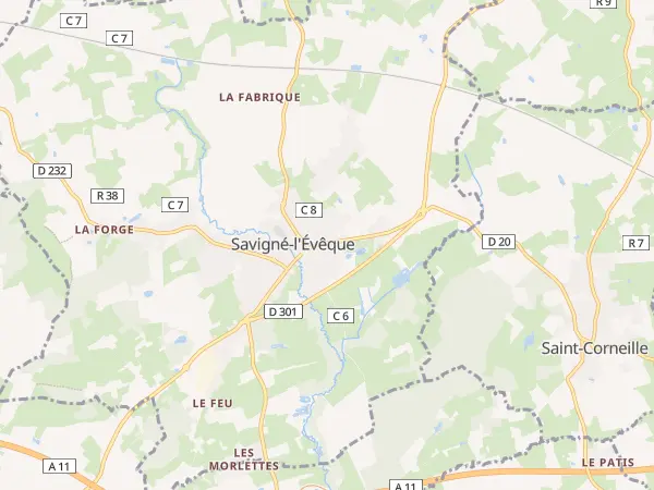 Plan de Savigné-l’Évêque