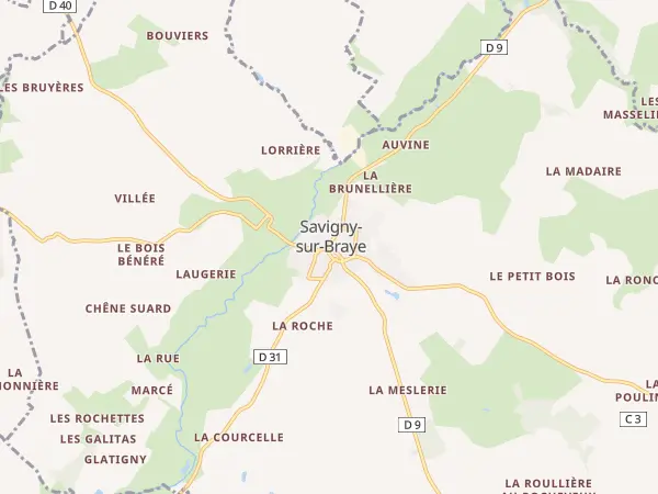Plan de Savigny-sur-Braye