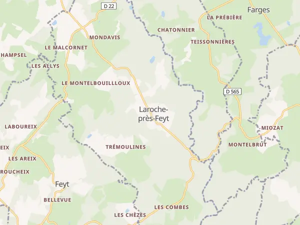 Plan de Laroche-près-Feyt