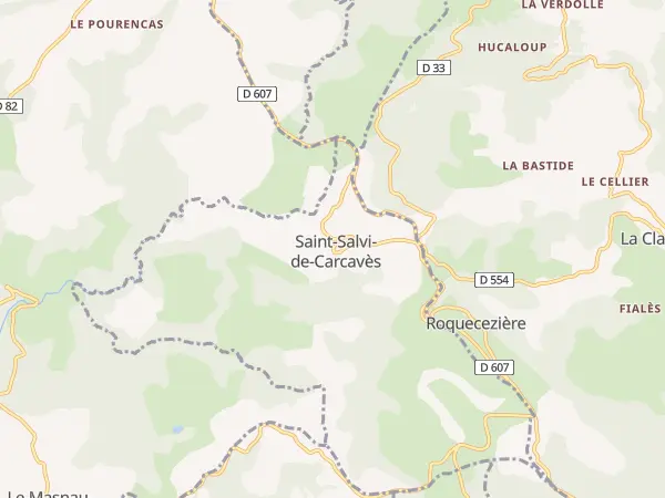 Plan de Saint-Salvi-de-Carcavès