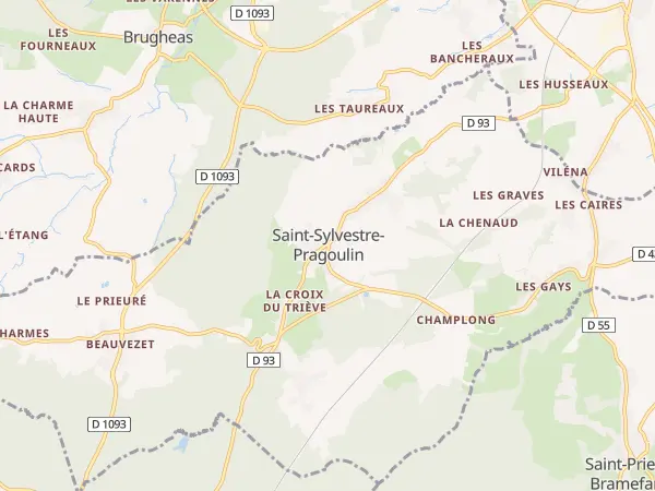 Plan de Saint-Sylvestre-Pragoulin