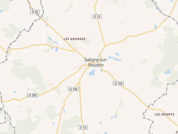 Plan de Saligny-sur-Roudon