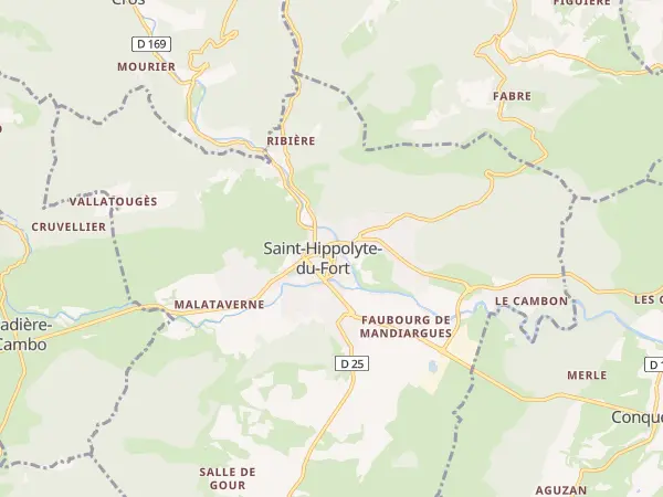 Plan de Saint-Hippolyte-du-Fort