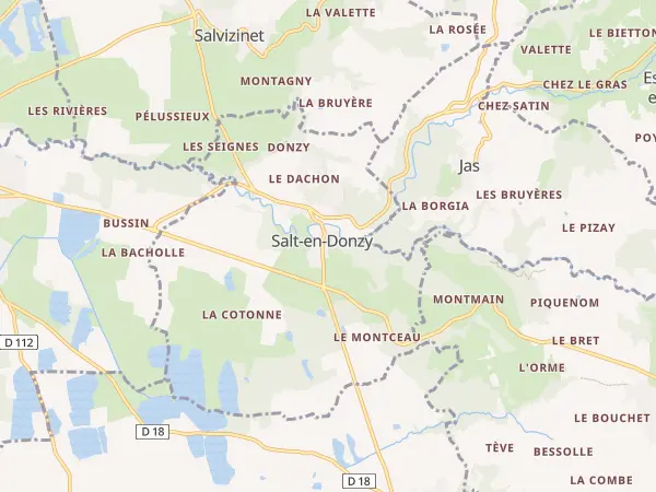 Plan de Salt-en-Donzy