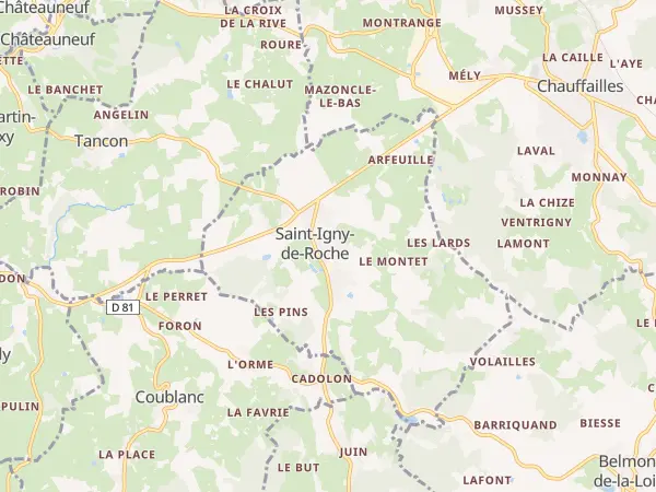 Plan de Saint-Igny-de-Roche
