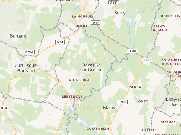 Plan de Savigny-sur-Grosne