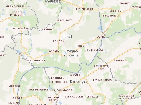 Plan de Savigny-sur-Seille