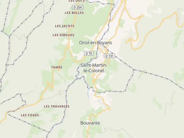 Plan de Saint-Martin-le-Colonel