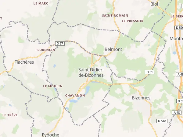 Plan de Saint-Didier-de-Bizonnes