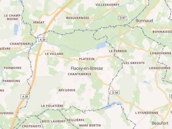 Plan de Flacey-en-Bresse