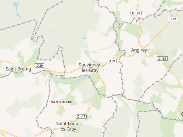 Plan de Sauvigney-lès-Gray