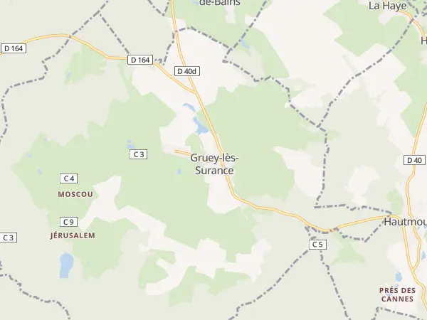 Plan de Gruey-lès-Surance