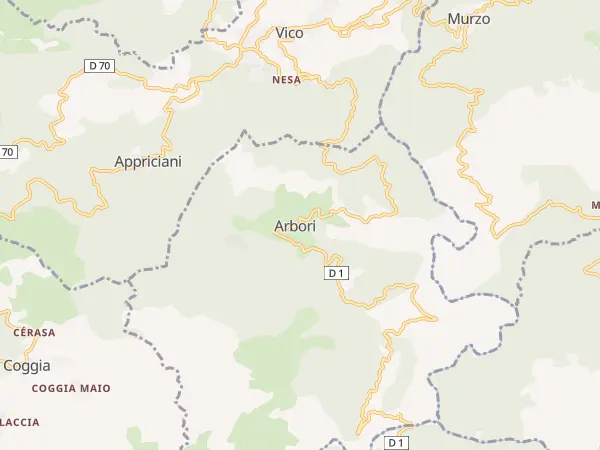 Plan de Arbori