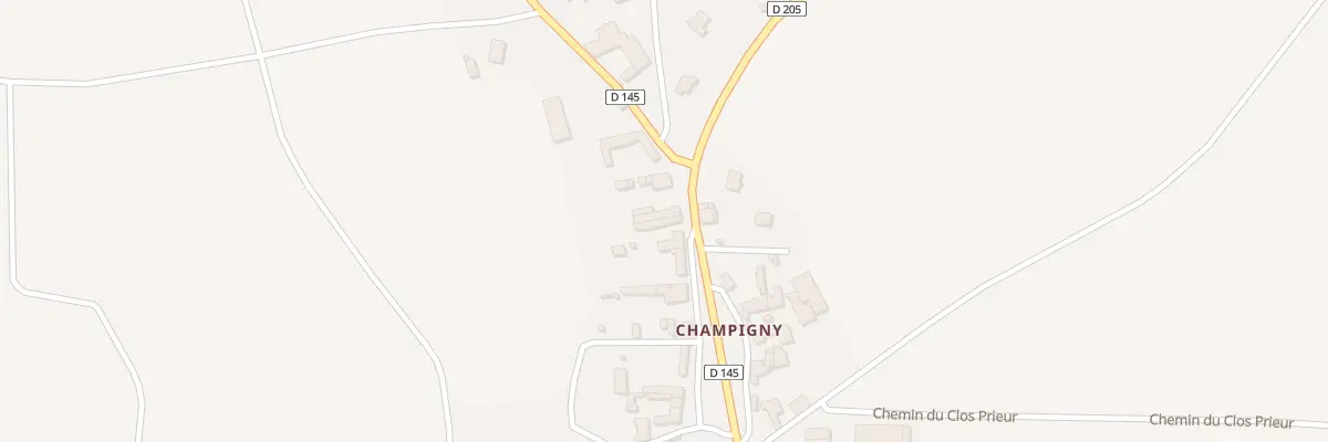 Plan du 2 Pl de la Paleine à Souzay-Champigny