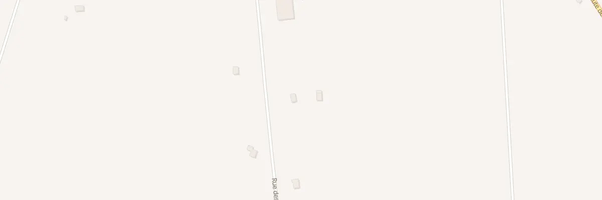 Plan du 19 Rue de la Pichonnière à Vivy
