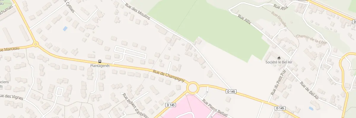 Plan du 420 Rue de Champigny à Saumur
