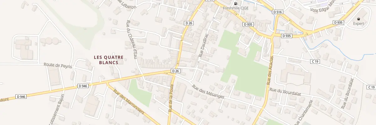 Plan du 22 Rue Daudirac à Riscle