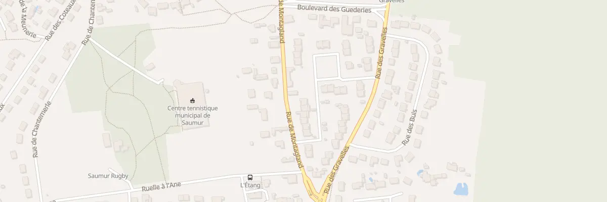 Plan du 77 Rue de Montagland à Saumur