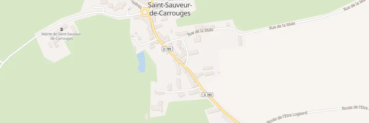Plan du 29 Le Bourg à Saint-Sauveur-de-Carrouges