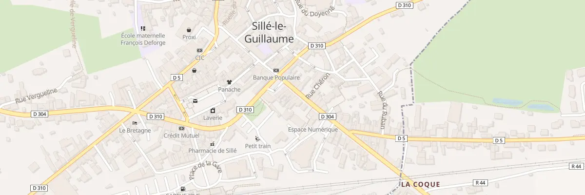Plan du 24B Rue du Docteur Touchard à Sillé-le-Guillaume