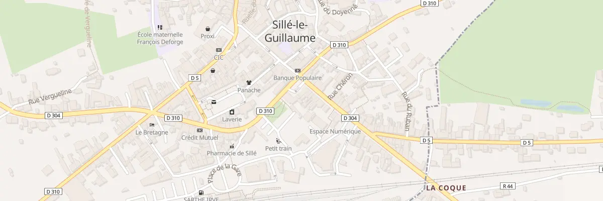 Plan du 20 Rue du Docteur Touchard à Sillé-le-Guillaume