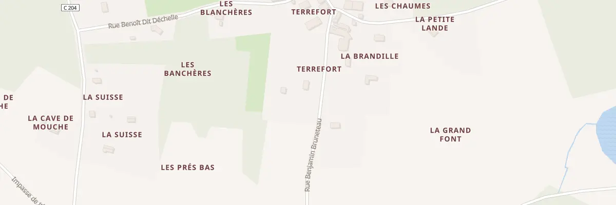 Plan du 10 Rue Benjamin Bruneteau à Saint-Pierre-du-Palais