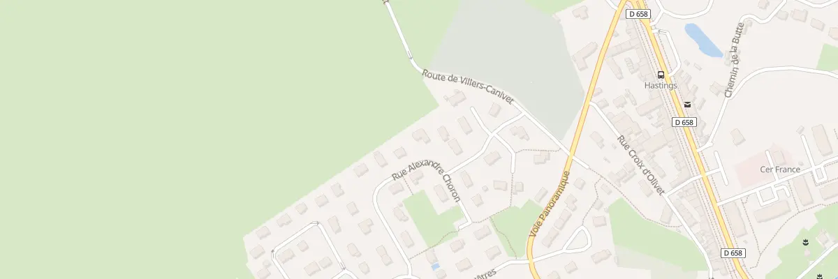 Plan du 17 Rue Alexandre Choron à Falaise
