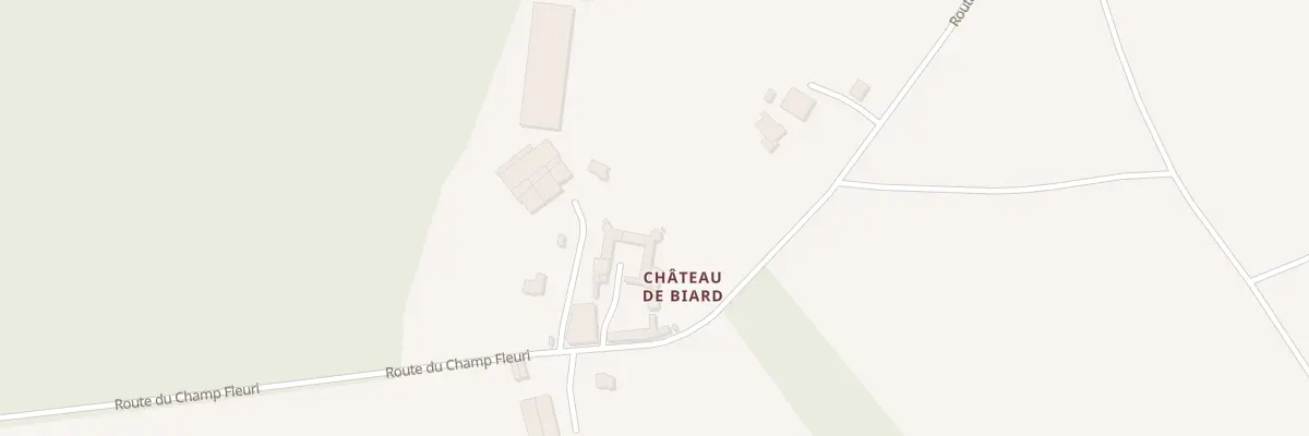Plan du 20 Rte du Champ Fleuri /biard à Glénay