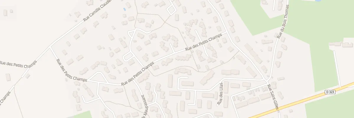 Plan du 29 Rue des Petits Champs à Durtal