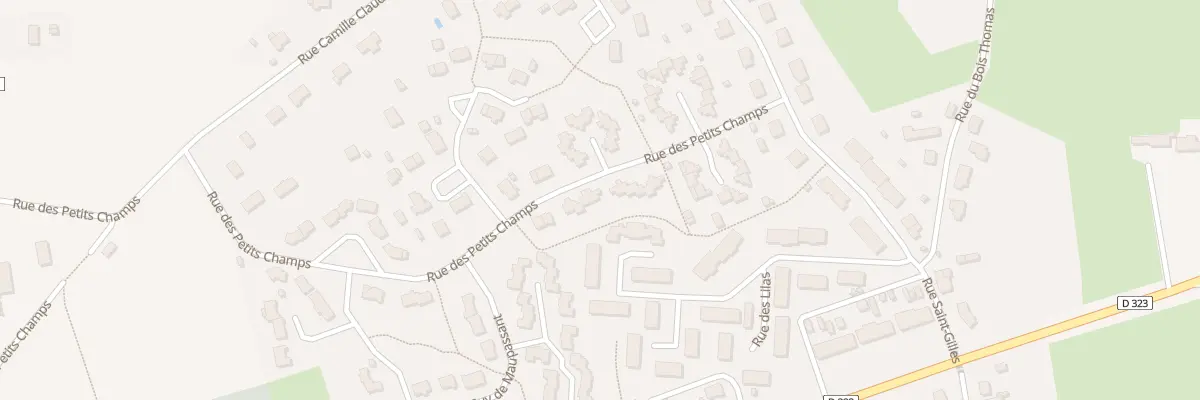 Plan du 31 Rue des Petits Champs à Durtal