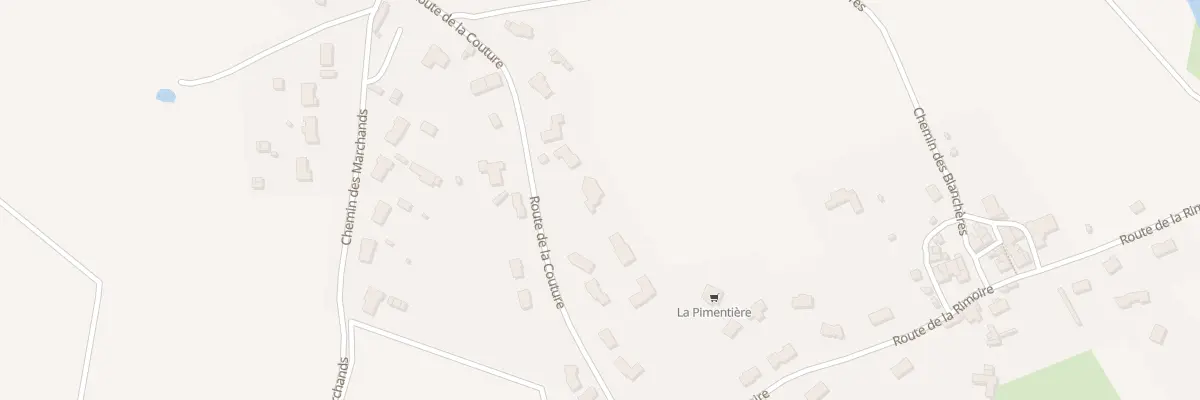 Plan du 48T Rte de la Couture à Viennay