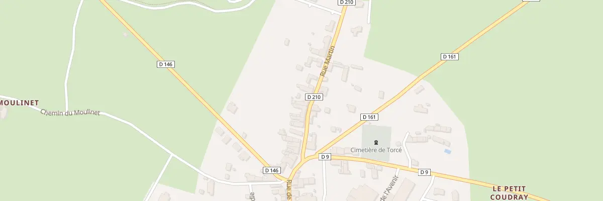 Plan du 19 Rue Martin à Torcé-Viviers-en-Charnie