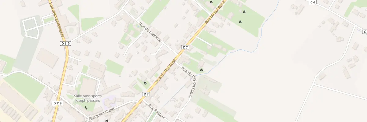 Plan du 42 Rue du Roi René à La Ménitré
