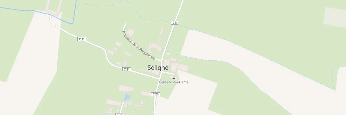 Plan du 6 Rue du Moulin à Séligné