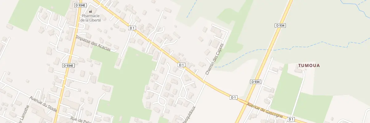 Plan du 333 Av de Gascogne à Villeneuve-de-Marsan