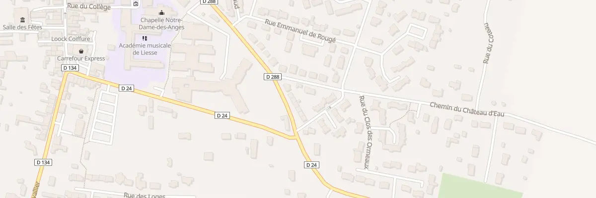 Plan du 45 Rue Emile Peneaud à Précigné