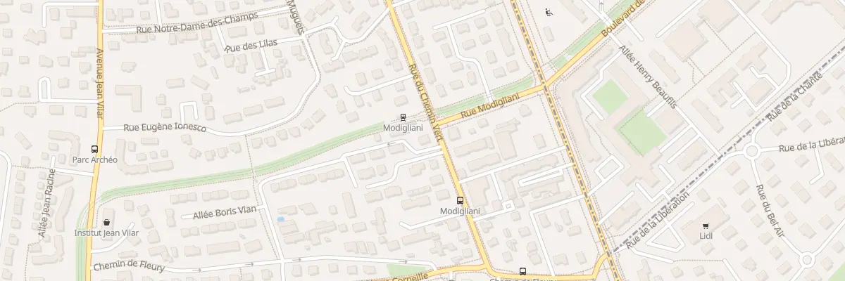 Plan du 161 Rue du Chemin Vert à Ifs