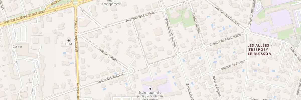 Plan du 10 Rue Lavignotte à Pau