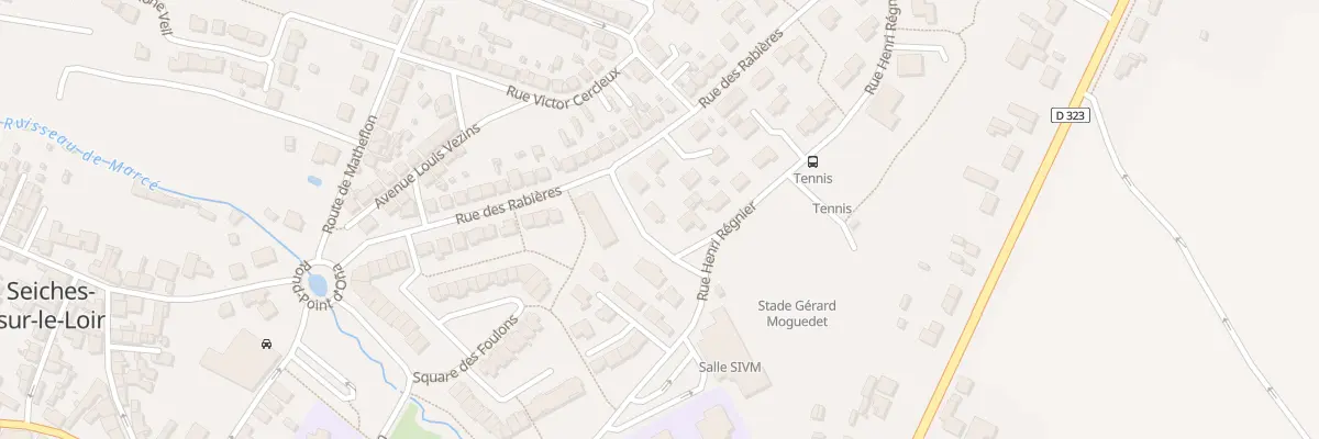 Plan du 1 Rue des GRANDS CHAMPS à Seiches-sur-le-Loir