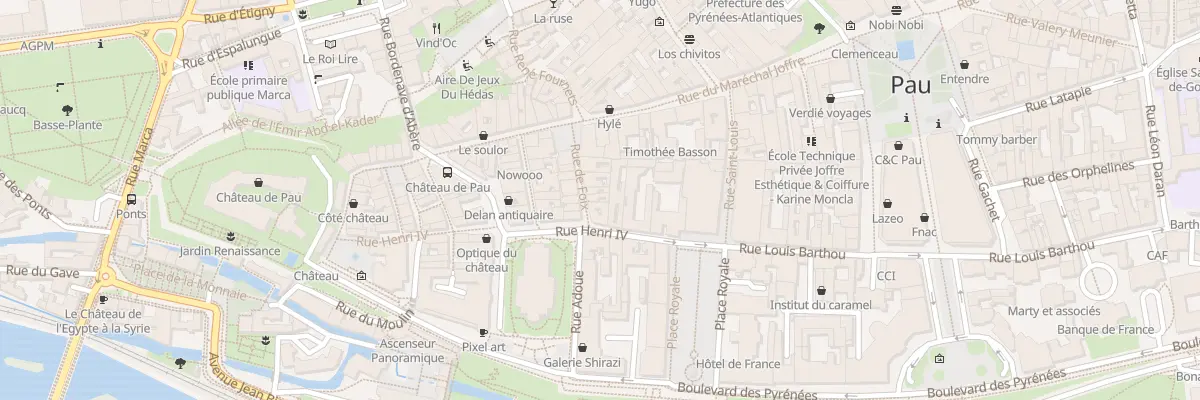 Plan du 4 Rue de Foix à Pau