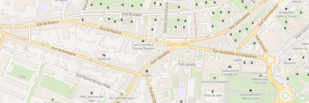 Plan du 10 Rue Caponière à Caen