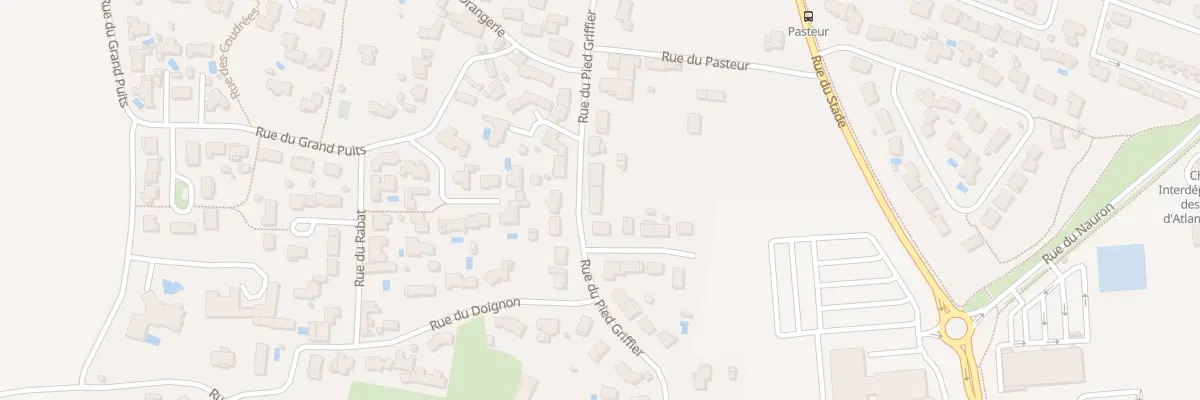 Plan du 119 Rue de Pied Griffier à Chauray