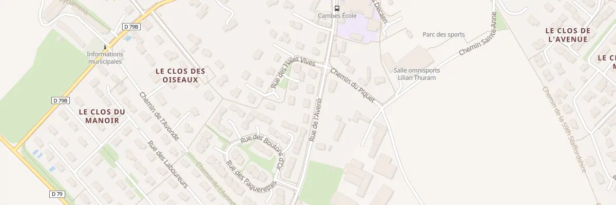Plan du 20 Rue de l’Avenir à Cambes-en-Plaine