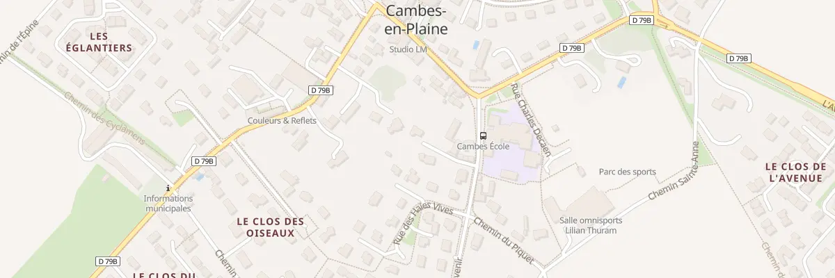 Plan du 10 Rue de l’Avenir à Cambes-en-Plaine
