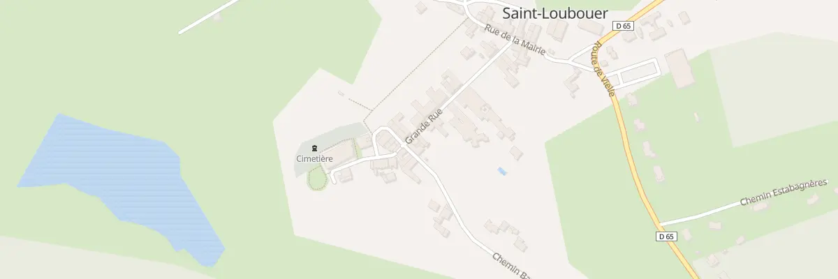 Plan du 173 Grand Rue à Saint-Loubouer